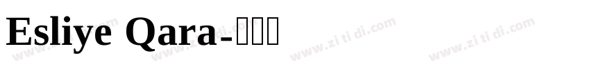 Esliye Qara字体转换
